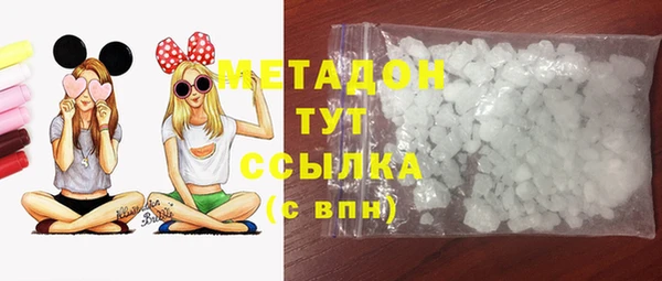 шишки Арсеньев