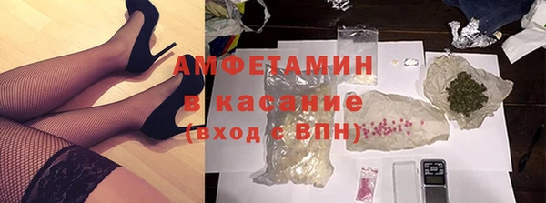 шишки Арсеньев