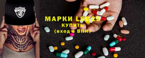 шишки Арсеньев