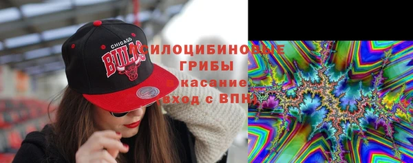 шишки Арсеньев