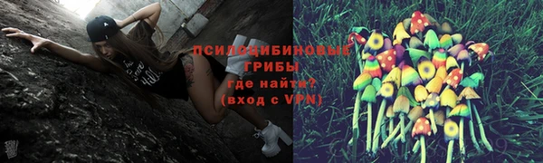 шишки Арсеньев