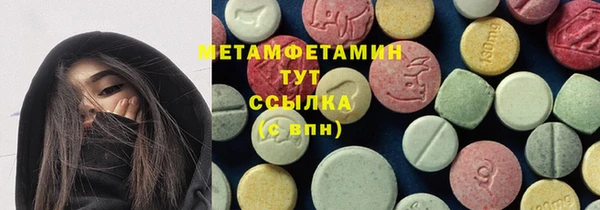 шишки Арсеньев