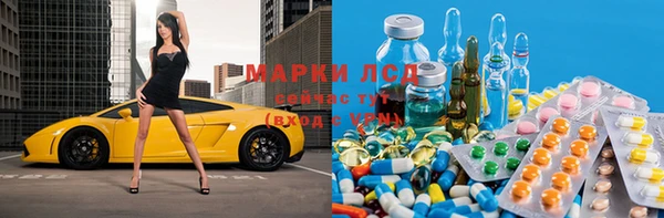шишки Арсеньев