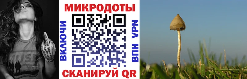 Псилоцибиновые грибы прущие грибы Красный Кут