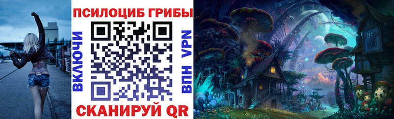 Галлюциногенные грибы Psilocybe  Красный Кут 